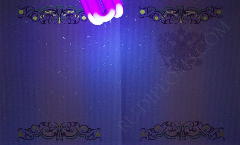 Диплом бакалавра 2010-2013 год  